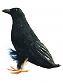 10 Raven Prop