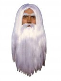 Merlin Wig Beard