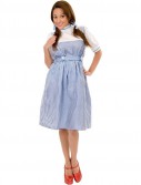 Dorothy Adult Plus Costume