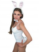 White / Pink Bunny Accessory Kit (Adult)