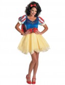 Snow White and the Seven Dwarfs Snow White Prestige Adult Costume