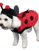 Lovely Ladybug Dog Costume