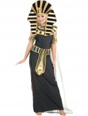Queen Nefertiti Adult Costume