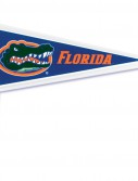 Florida Gators - Pennant Picks (12 count)