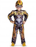 Transformers 3 Dark of the Moon Movie - Bumblebee Muscle Toddler / Child Costume