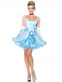 Disney Princesses Glass Slipper Cinderella Adult Costume