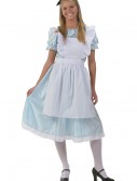 Adult Alice Costume
