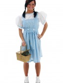 Adult Kansas Girl Costume Dress