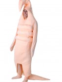 Adult Earthworm Costume