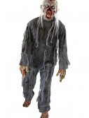 Adult Rotting Costume