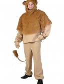 Adult Storybook Lion Costume