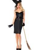 Adult Vintage Witch Costume
