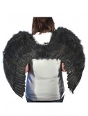 Black Feather Angel Wings