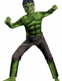 Child Avengers Hulk Costume