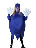 Child Blueberry Costume