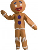 Child Gingerbread Man Costume