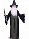 Child Wizard Costume