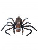 Creepy Crawler Tarantula