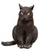 Foam Sitting Black Cat