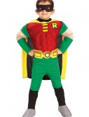 Kids Deluxe Robin Costume