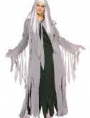 Midnight Spirit Women's Costume
