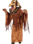 Mummy Warrior Costume