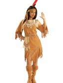 Native American Maiden Costume