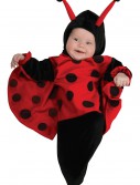 Newborn Ladybug Costume