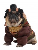 Pity the Fool Dog Costume