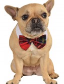 Plaid Bow Tie Pet Costume