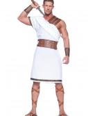 Plus Size Greek Warrior Costume