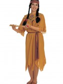 Plus Size Pocahontas Costume