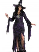Plus Size Sorceress Costume