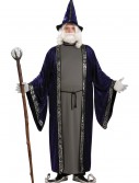 Plus Size Wizard Costume