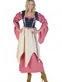 Renaissance Pirate Wench Costume