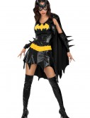 Sexy Batgirl Costume