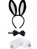Sexy Bunny Costume Kit