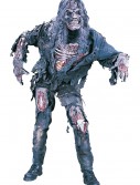 Teen Zombie Costume
