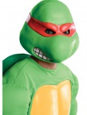 TMNT Raphael Mask