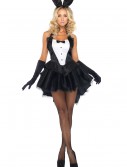 Tux and Tails Bunny Costume