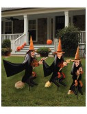 Witchly Group Set of Three