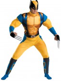 Wolverine Origins Costume