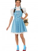 Women's Adult Dorothy Costume