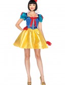 Womens Disney Classic Snow White Costume