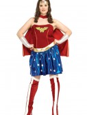 Wonder Woman Plus Size Costume