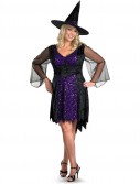 Brilliantly Bewitched Adult Plus Costume