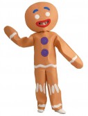 Shrek-Gingerbread Man Child Costume