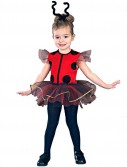 Lil' Lady Bug Toddler Costume