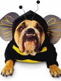 Zelda Wisdom - Bumblebee Dog Costume
