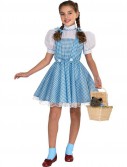 The Wizard of Oz Dorothy Deluxe Child Costume